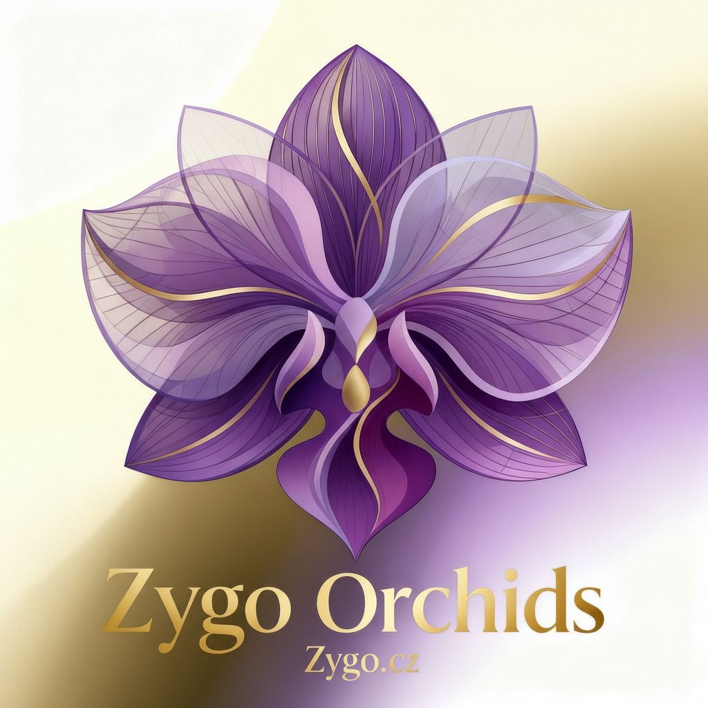 Exkluzivní orchideje Yaphon Orchids